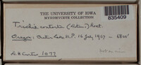 Image Associated With the Occurence